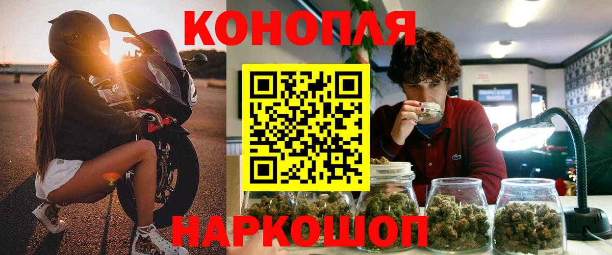 Каннабис индика Россия