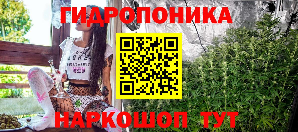 Марихуана индика  Шишки марихуана SATIVA & INDICA  Россия  Марихуана OG Kush  Вход с VPN  Бошки марихуана семена 